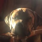 Profile Picture of James Moffatt (@jaymzmoffatt) on Instagram