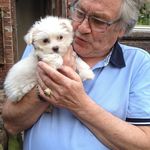 Profile Picture of David dobbs (@daviddobbs47) on Instagram