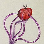 Profile Picture of Johnathan Andres Guerra Rodriguez (@kriegvisualart) on Flickr