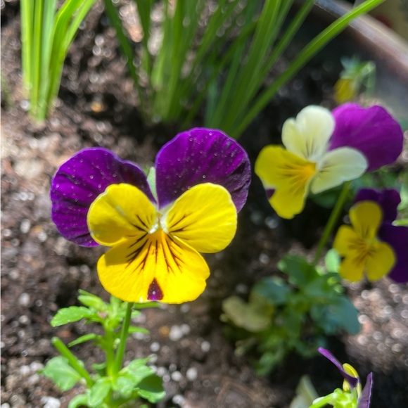 Profile Picture of Heather Roberts (@heatherrober147) on Poshmark