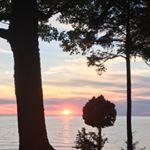 Profile Picture of Amanda Selk (@amandaselk) on Instagram