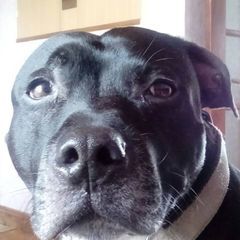 Profile Picture of Neil Brock (@neil.brock) on Tiktok