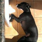 Profile Picture of tracey_carpente (@tracey_carpente) on Instagram