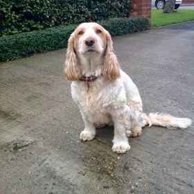 Profile Picture of Jacqueline (@alainmuds) on Pinterest