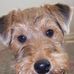 Profile Picture of Jean Tison (@jean.tison.3) on Facebook