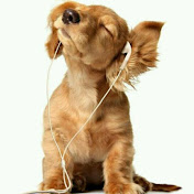 Profile Picture of Huang Li (@huangli8423) on Youtube