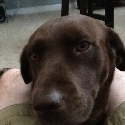 Profile Picture of Mark Adamek (@AdamekMark) on Twitter