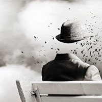 Profile Picture of Mark Nellis (@marknellis7) on Twitter