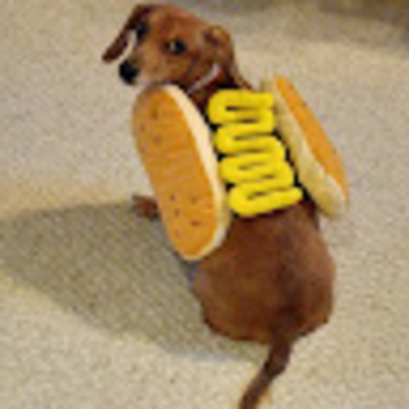 Profile Picture of Caitlin Simon-cumming (@buttonspectre) on Poshmark