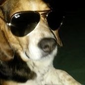 Profile Picture of Russ Vincent (@RussVin38235200) on Twitter