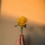 Profile Picture of 𝓇𝓊𝒷𝒶 𝒥𝒶𝓂𝒾𝓁 (@__15ruba) on Instagram