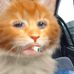 Profile Picture of Chase Cupp (@chase.cupp.773) on Facebook