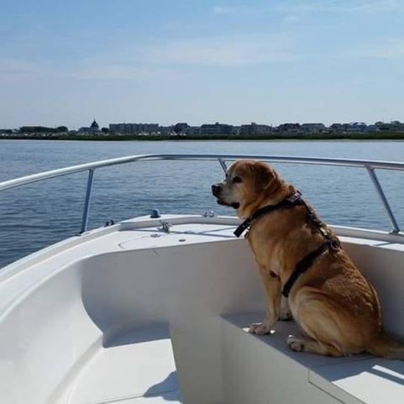 Profile Picture of Glenn Tatem (@reelingonein) on Poshmark