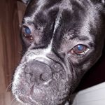 Profile Picture of Jonathan Saxton (@big.jon.saxton) on Instagram