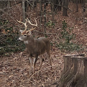 Profile Picture of Jason Cunningham’s Wildlife  (@jasoncunninghamsoutdoors) on Youtube