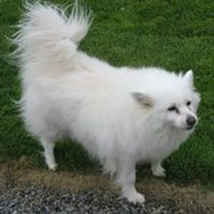 Profile Picture of Frank Dillon (@frank.dillon3) on Myspace