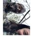 Profile Picture of Emily Strider (@Emily-Strider) on Facebook