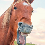 Profile Picture of Jalal Saeed (@sjalal20) on Flickr