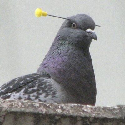 Profile Picture of Michael Weakley (@FerrumGuy) on Twitter