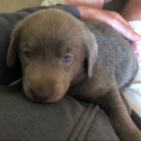 Profile Picture of Chris Braaten (@chrisbraaten78) on Pinterest