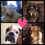 Profile Picture of Donna Neuling (@muhtoy) on Instagram