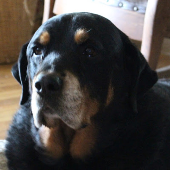 Profile Picture of Tami Klages (@whalesong4u) on Poshmark