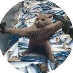 Profile Picture of Jasmine Parenteau (@jaz.19_) on Instagram