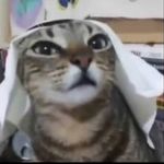 Profile Picture of Mikołaj Węgrzyn (@mikolajwegrzyn) on Instagram