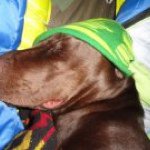 Profile Picture of James Woods (@ruthlessvandal) on Instagram