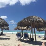 Profile Picture of Patrick Tsao (@pat.yi.de) on Instagram