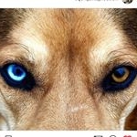 Profile Picture of Hudson And Floyd ♡ (@hudson_and_floyd) on Instagram