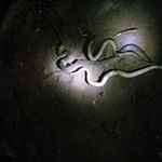 Profile Picture of Mark Ratliff (@ratliff.mark) on Instagram
