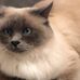 Profile Picture of Kathy Laurent (@kathy.laurent.399) on Facebook