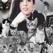 Profile Picture of Pauline Hollinger (@paulinehollinge) on Pinterest