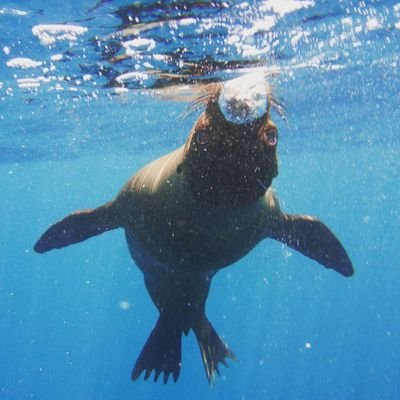 Profile Picture of Matthew DeJohn (@DeJohnFilm) on Twitter