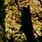 Profile Picture of Rusty Knight (@rusty knight) on Flickr