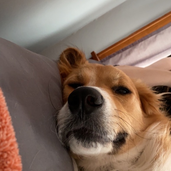 Profile Picture of Carly Sandstrom (@carlsand119) on Poshmark