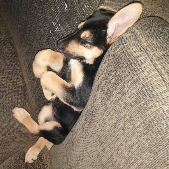 Profile Picture of Laini Overton (@lainimichelle) on Poshmark