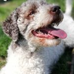 Profile Picture of Nora Noćna Mora (@nora.nightmare) on Instagram