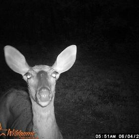 Profile Picture of Emma Schildgen (@kepler99) on Pinterest