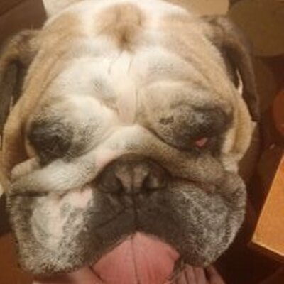 Profile Picture of Kris Norris (@krsnorris) on Twitter