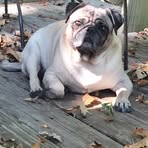 Brett Scanlon - Facebook Profile Picture of Brett Scanlon (@brett.scanlon.7) on Facebook