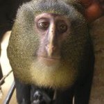 Profile Picture of Benjamin Baird (@bbsloth) on Instagram