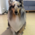 Profile Picture of Mariana Gaviria Perez (@mari.gp23072014) on Flickr