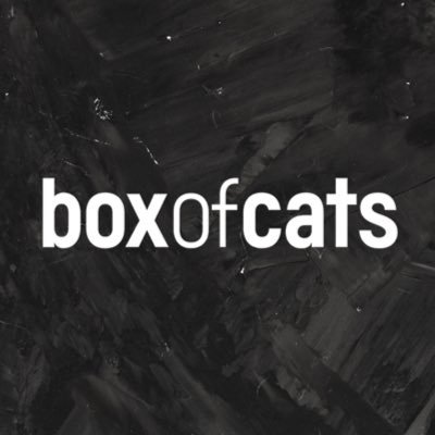 Profile Picture of BOX OF CATS (@boxofcatsmusic) on Twitter