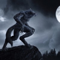 Profile Picture of Lars Meyer (@lars-meyer-9) on Quora