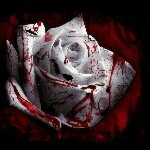 Profile Picture of yvette (@yvettebarbara) on Instagram