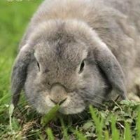 Profile Picture of Roberta Murphy (@roberta-murphy-7) on Quora