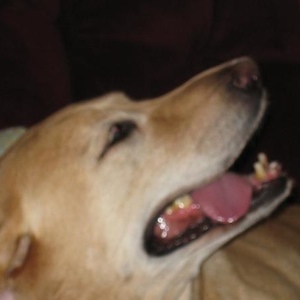 Profile Picture of James Bueno (@280712597) on Myspace