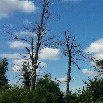 Profile Picture of Jimmy Stevens (@jmmystvns) on Instagram